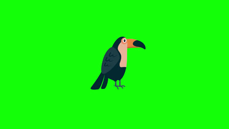 Tukan-Vogel-Symbol-Loop-Animationsvideo,-Transparenter-Hintergrund-Mit-Alphakanal